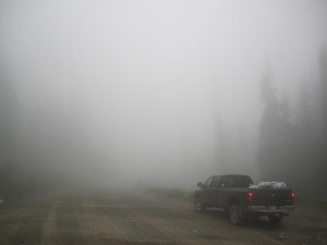 Hurley in the fog