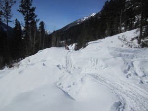 Trail through the debris