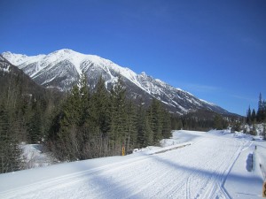 Hurley view