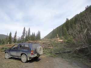 Avalanche debris on the East Hurley