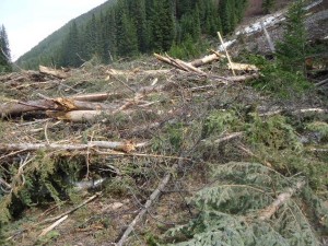 Huge pile of debris from a spring avalanche on the East Hurley