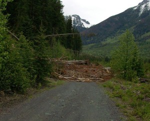 Avalanche debris on the East Hurley