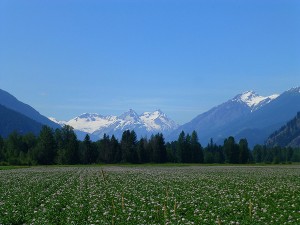 Classic Pemberton view!